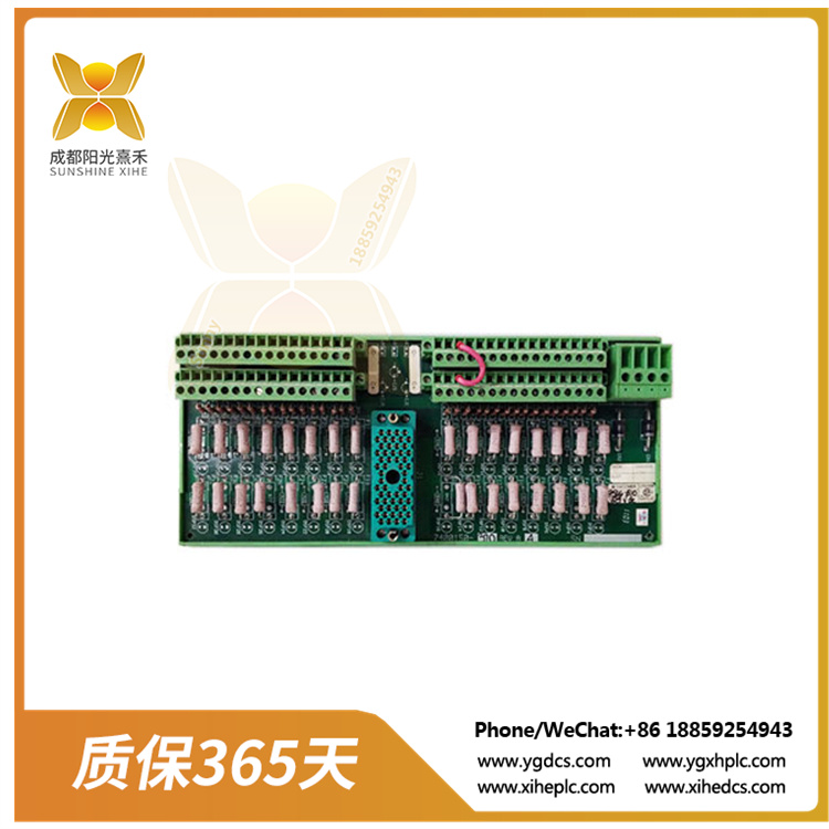 9566-810.jpg